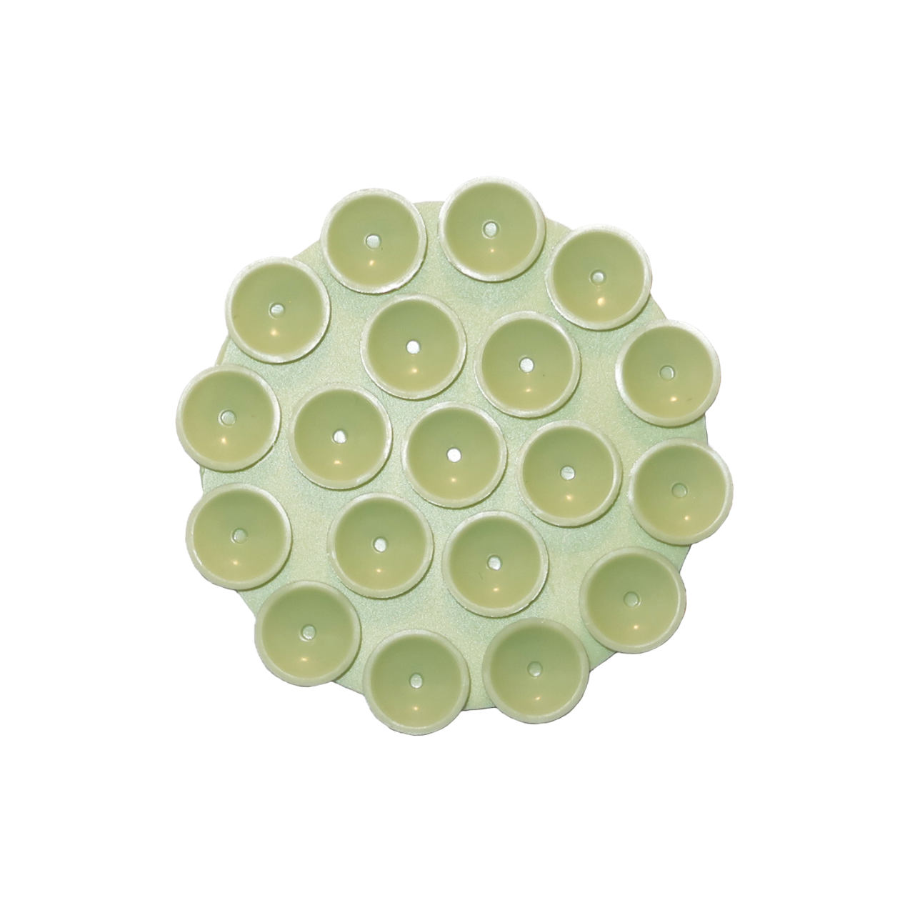 Flower cup light green